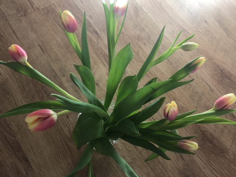 Change Management-Teambilding-Großensee